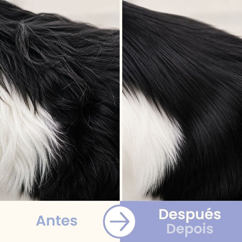 Set de Aseo para Mascotas 3 Piezas — Cepillo, Desenredante y Guante
