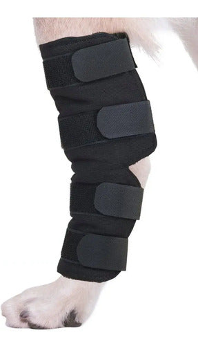 Rodillera Protectora para Mascotas | Soporte y Confort para Articulaciones