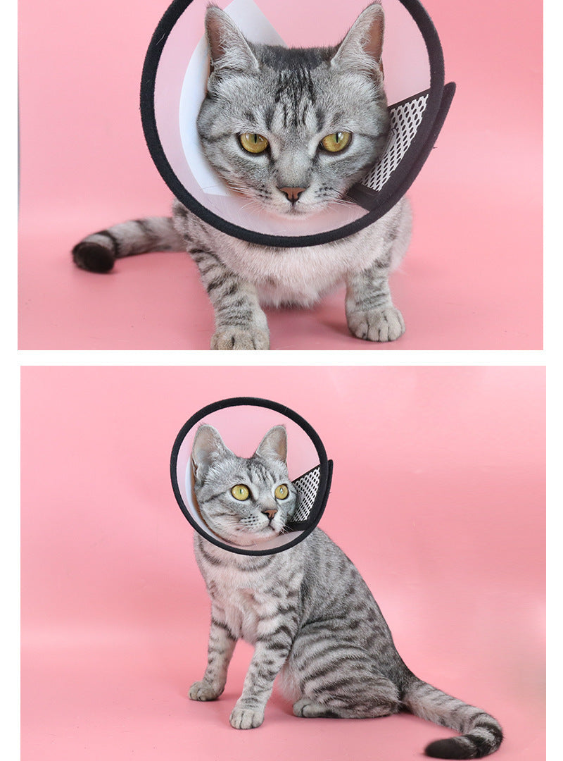 Collar Isabelino Transparente para Mascotas - Protector Postoperatorio