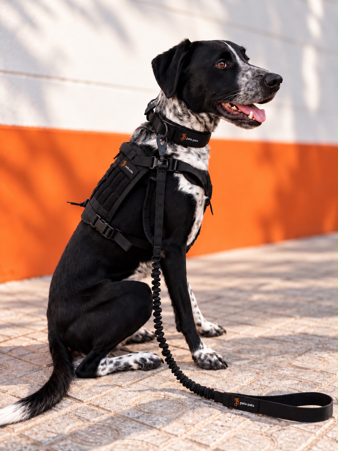 Kit Táctico Profesional para Perros Pata-Pata – Arnés + Collar + Correa Táctica