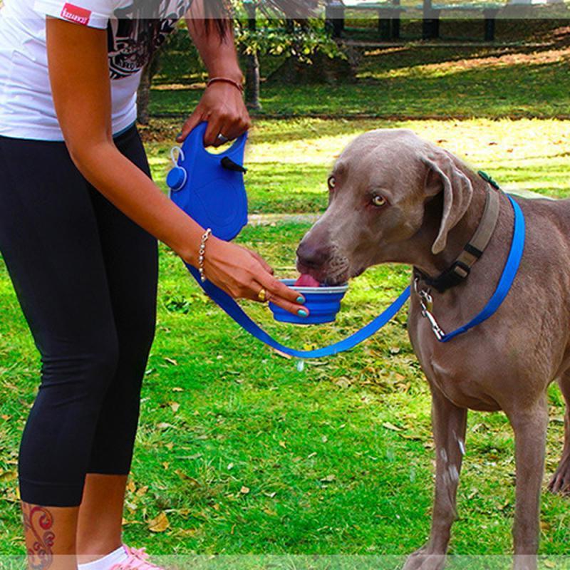 Correa para Perros y Gatos con Bebedero Integrado Pata-Pata - Hidratacion en Cada Paseo