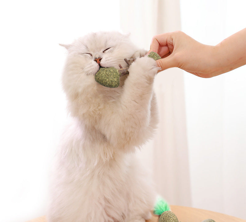 Pack 2 Juguetes Interactivos para Gatos;   Ratón y Pelota de Hierba Gatera