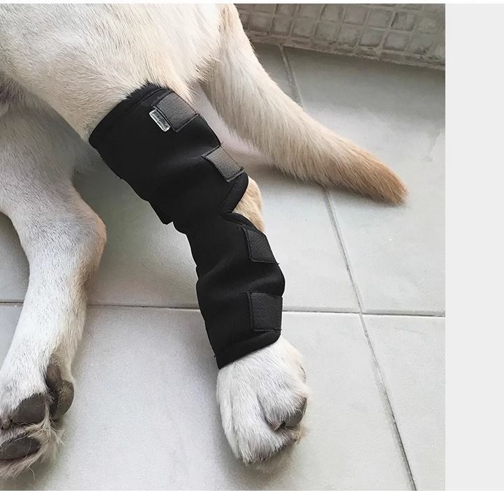 Rodillera Protectora para Mascotas | Soporte y Confort para Articulaciones