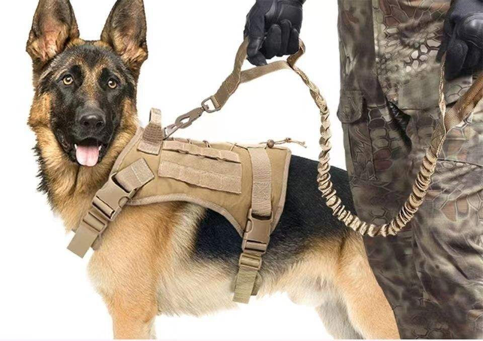 Kit Táctico Profesional para Perros Pata-Pata – Arnés + Collar + Correa Táctica