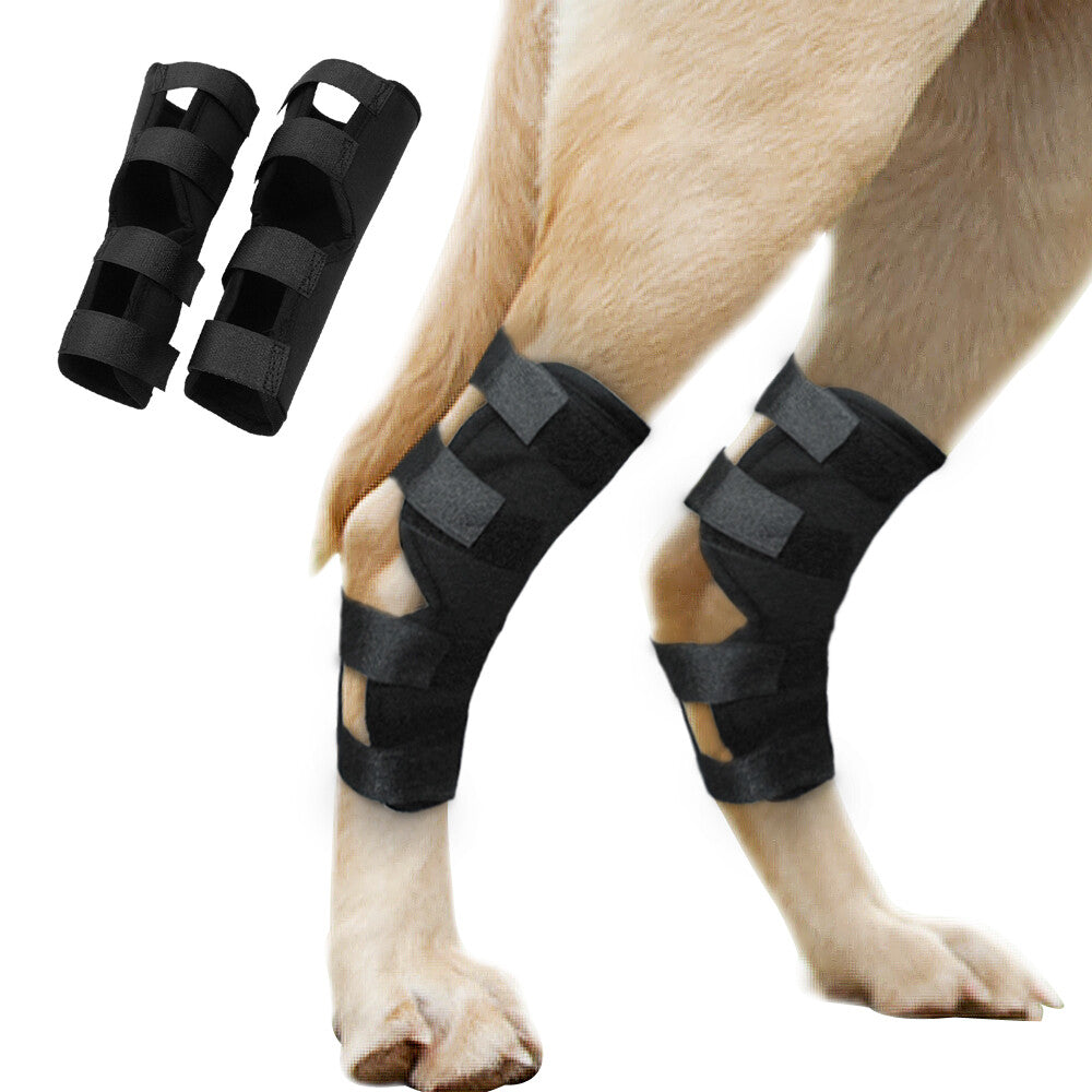 Rodillera Protectora para Mascotas | Soporte y Confort para Articulaciones